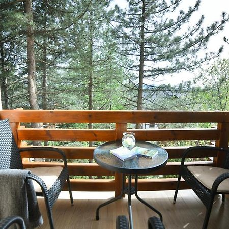 Apartman Silver Lux Zlatibor Kültér fotó