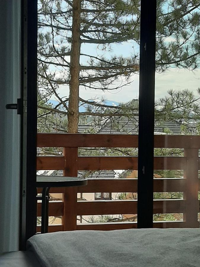 Apartman Silver Lux Zlatibor Kültér fotó